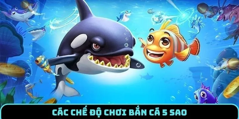 ban-ca-5-sao-che-do