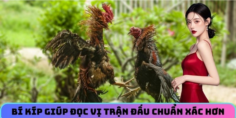 bi-kip-giup-doc-vi-tran-dau-chuan-xac-hon