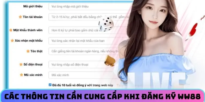 cac-thong-tin-cung-cap-can-de-dang-ky-tai-khoan