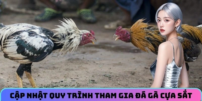 cap-nhat-quy-trinh-tham-gia-da-ga-cua-sat