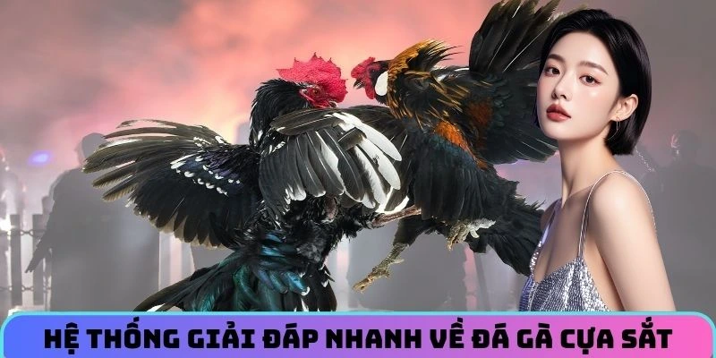 he-thong-giai-dap-nhanh-ve-da-ga-cua-sat