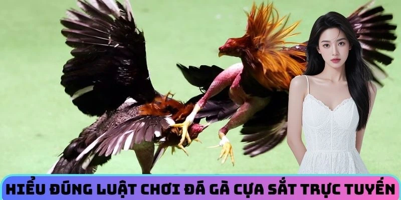 hieu-dung-luat-choi-da-ga-cua-sat-truc-tuyen