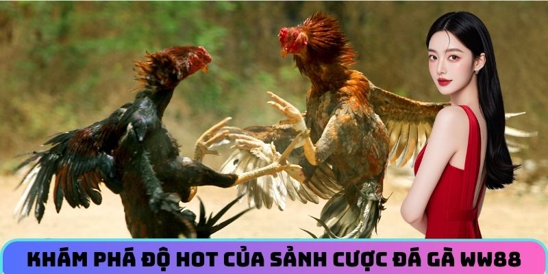 kham-pha-do-hot-cua-sanh-cuoc-da-ga-ww88