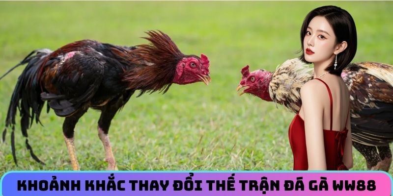 khoanh-khac-thay-doi-the-tran-da-ga-ww88