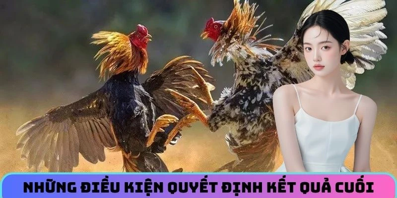nhung-dieu-kien-quyet-dinh-ket-qua-cuoi
